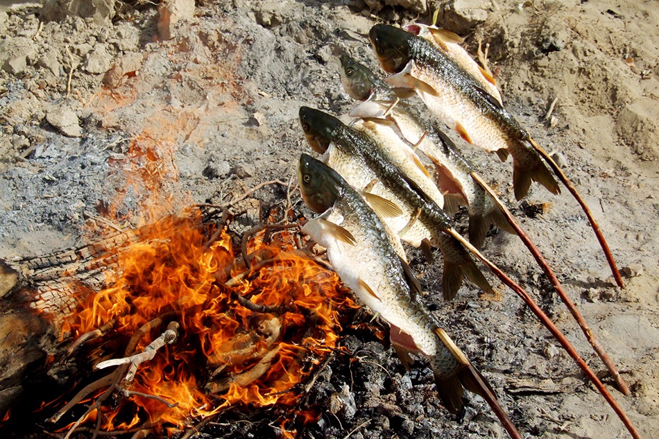 Ali film industry for the future holding